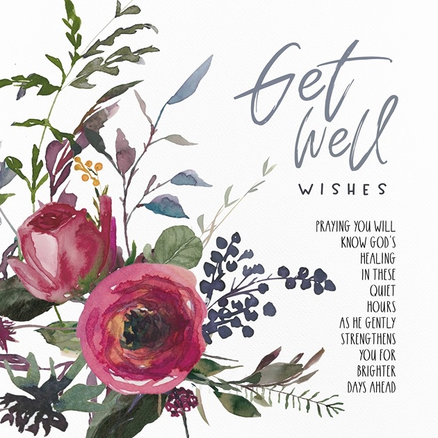 Get Well Wishes - Pink Roses - Psalm 37: 7