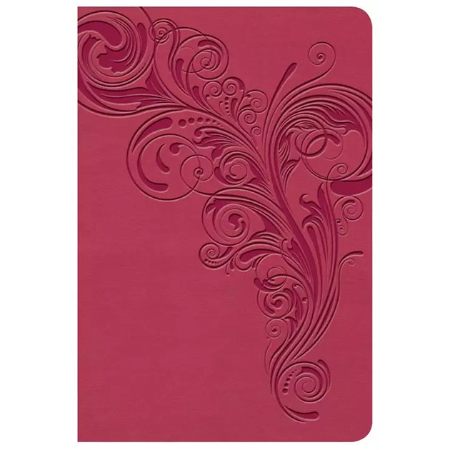 KJV Large Print Compact Reference Bible Pink Leather Touch